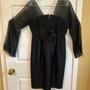 Elegant Black Dress with Sheer Sleeves